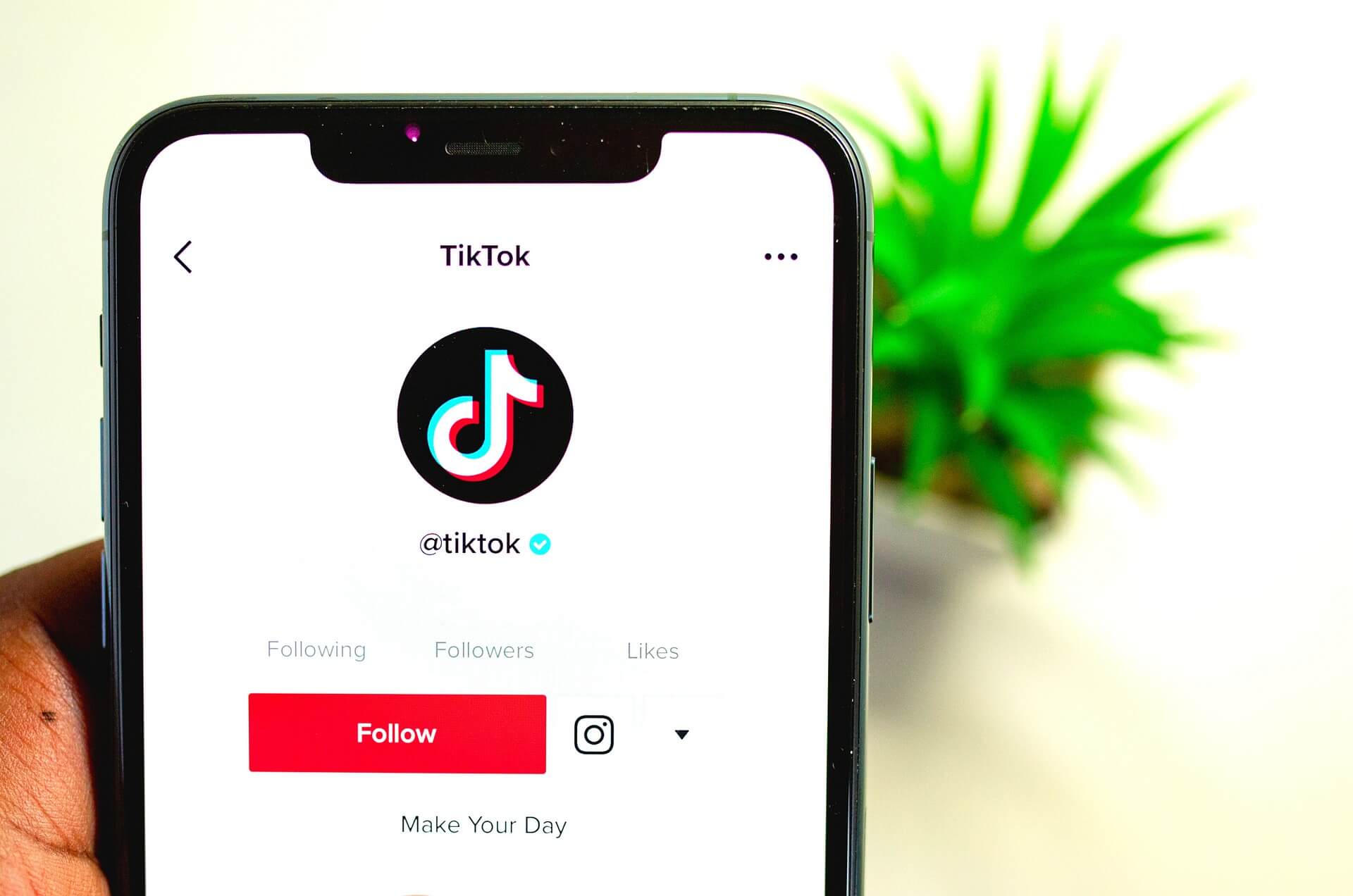 TikTok Followers